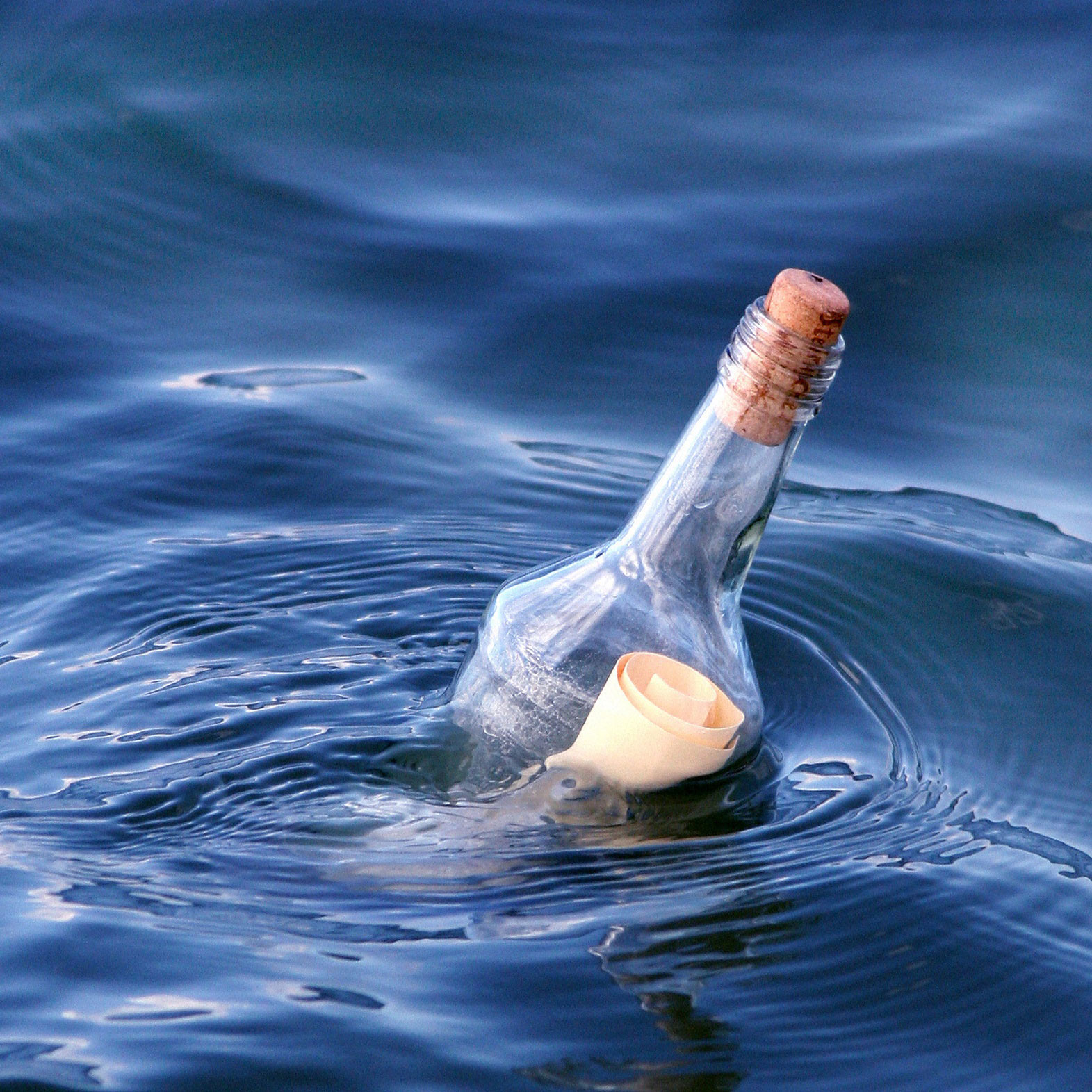 Thomas Beck Consulting