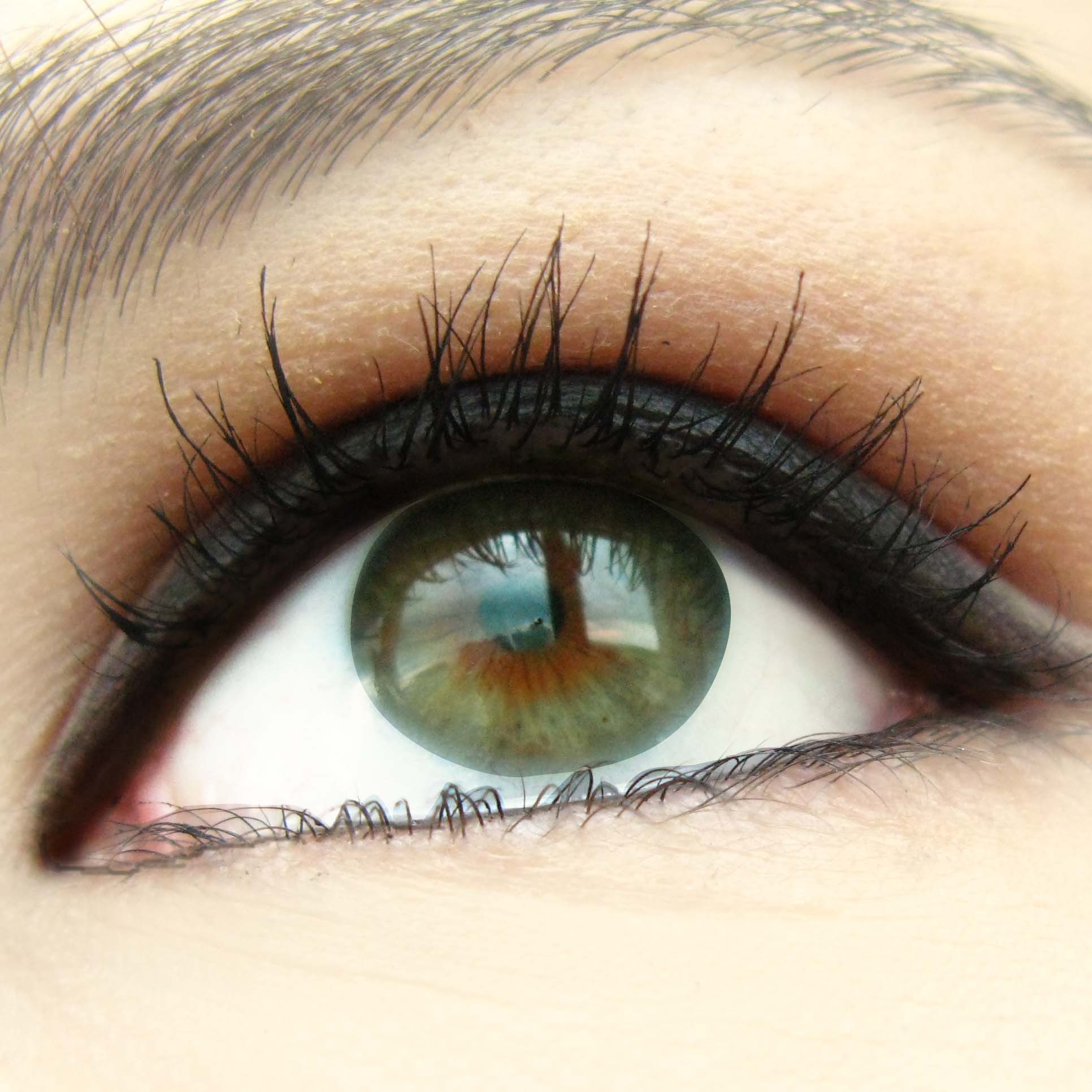 kontktbild thomas beck coaching